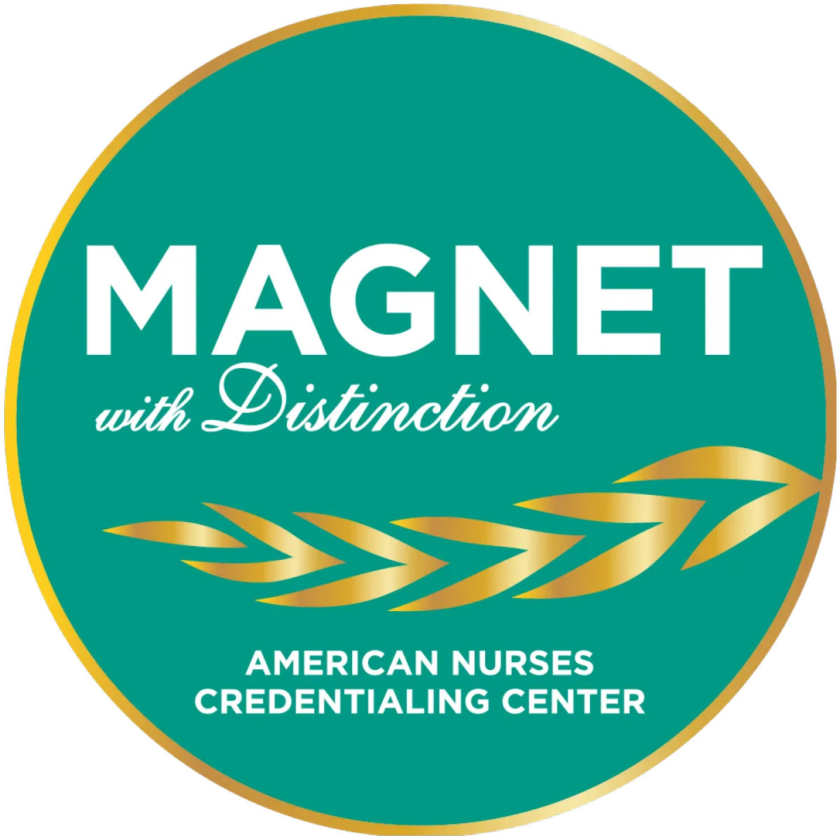 Magnet Recongnized
