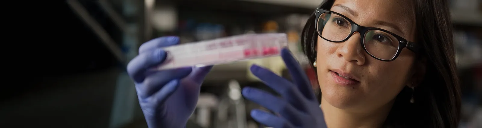 Banner Image Desktop 3