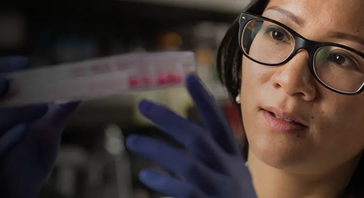 Banner Image Mobile 3